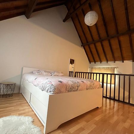 Le Mortier D'Or Duplex Hyper Centre Ville Troyes Luaran gambar