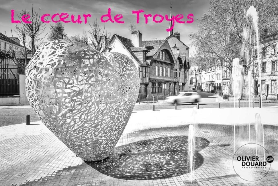 Le Mortier D'Or Duplex Hyper Centre Ville Troyes Luaran gambar