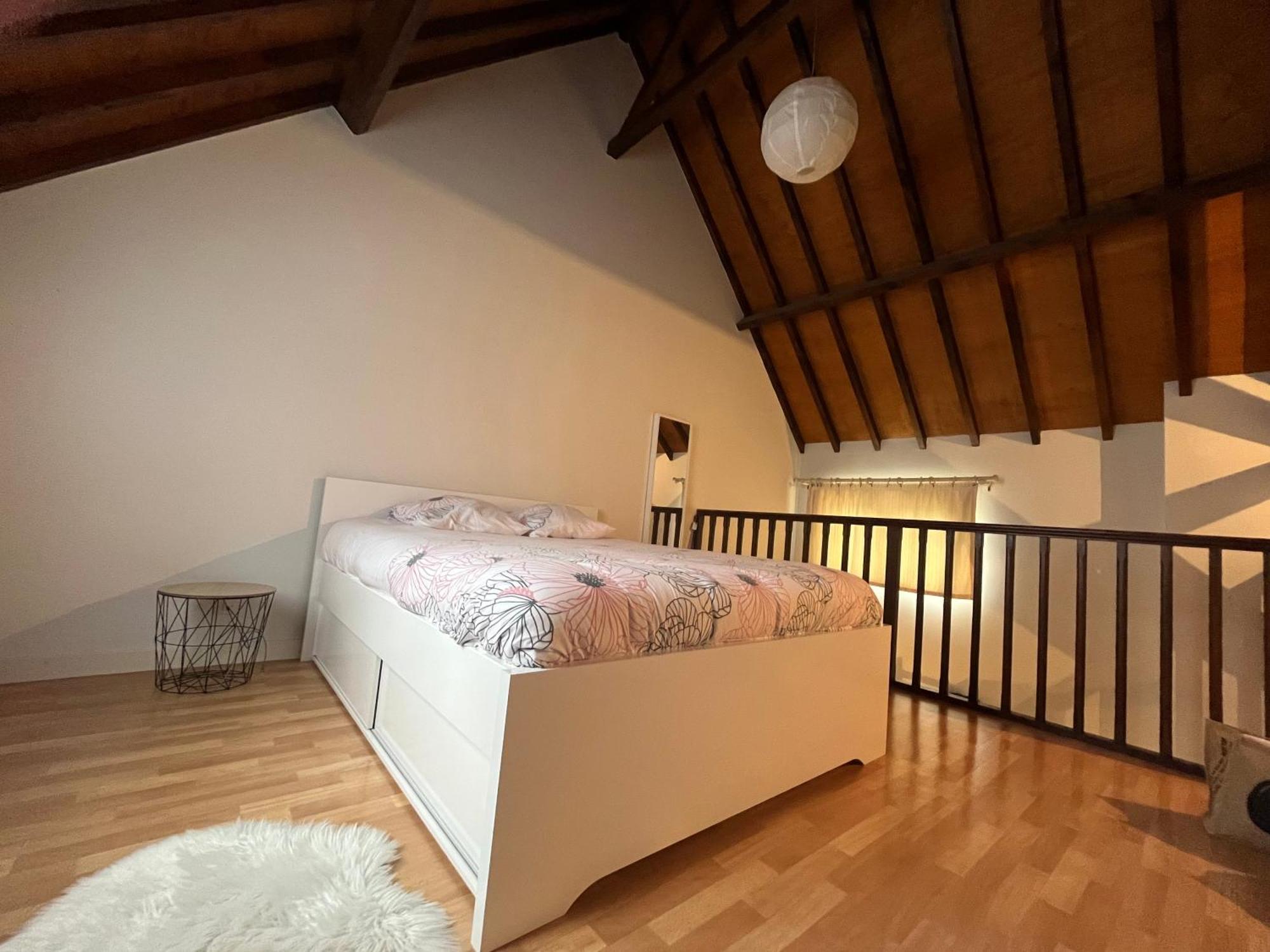 Le Mortier D'Or Duplex Hyper Centre Ville Troyes Luaran gambar
